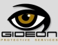 Bodyguard, Executive Protection, and Personal Protection services 