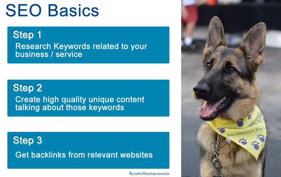 Basic SEO Tips for Dog Trainers